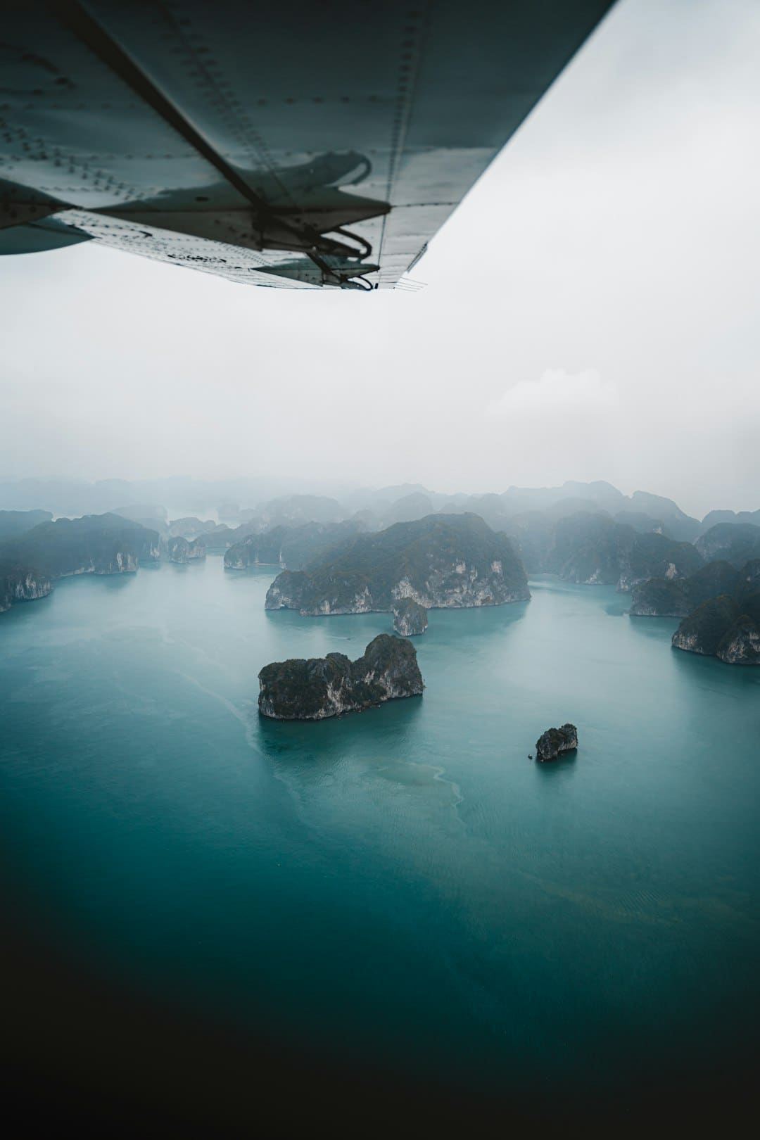 研讨发现：微塑料或许存在于一切人类胎盘中，检测了62份样本，100%发现了微塑料